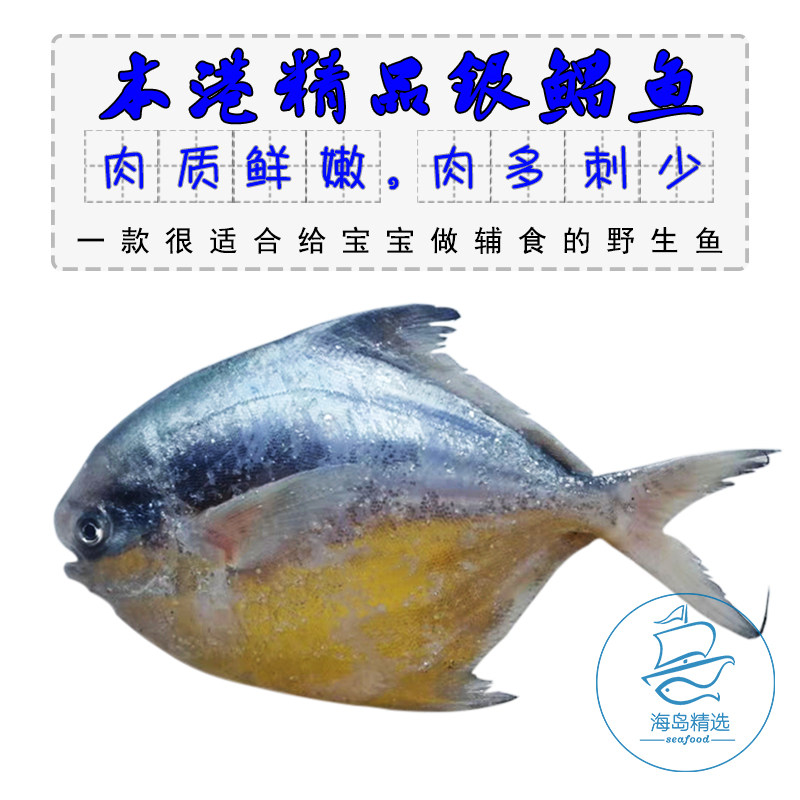 野生银鲳鱼新鲜大银白鲳平鱼镜鱼鲜活海鱼宝宝辅食东山岛海鲜 2斤