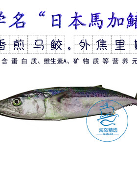 东山岛海鲜 野生正马鲛鱼 新鲜鱼片竹鮫燕尾鲅马加鱼营养辅食750g
