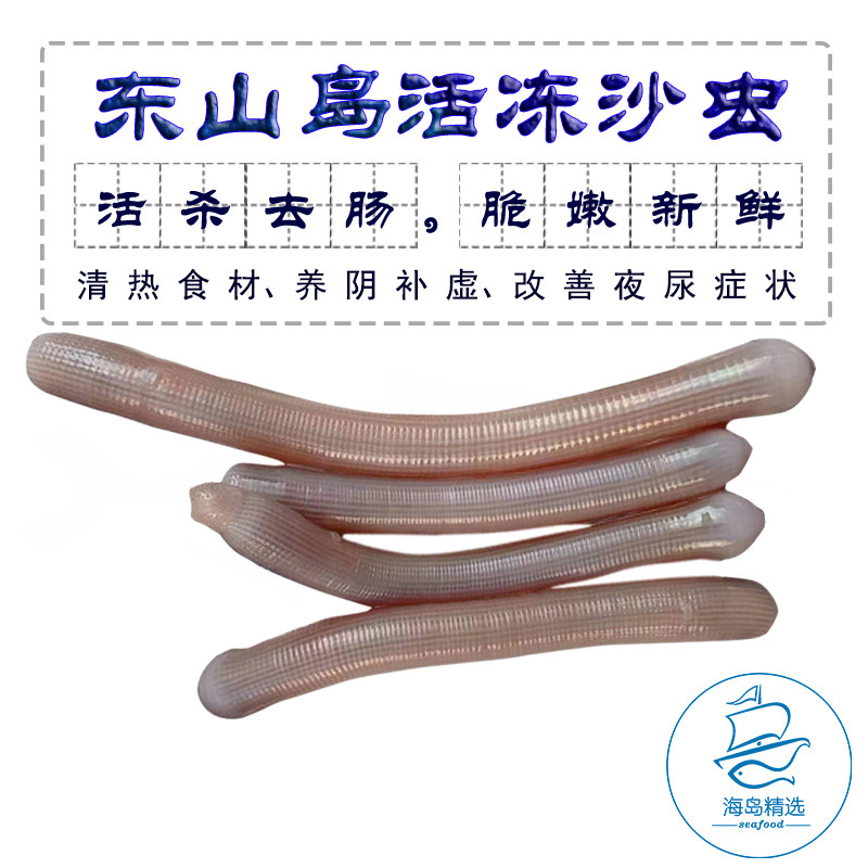鲜活野生沙虫 方格星虫 新鲜海虫去沙去肚东山岛海鲜高品质海产品