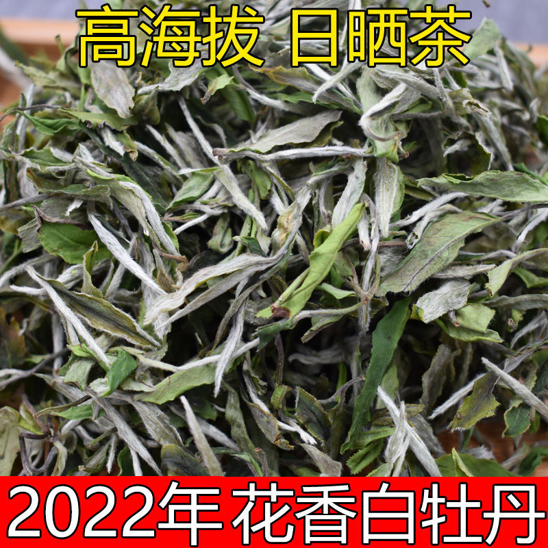 2022年明前新茶福云牡丹王高山白茶散装白牡丹日晒花香白牡丹茶叶