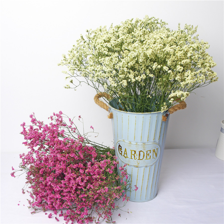 云南真花干花水晶花情人草花束长款客厅摆设办公装饰拍摄道具