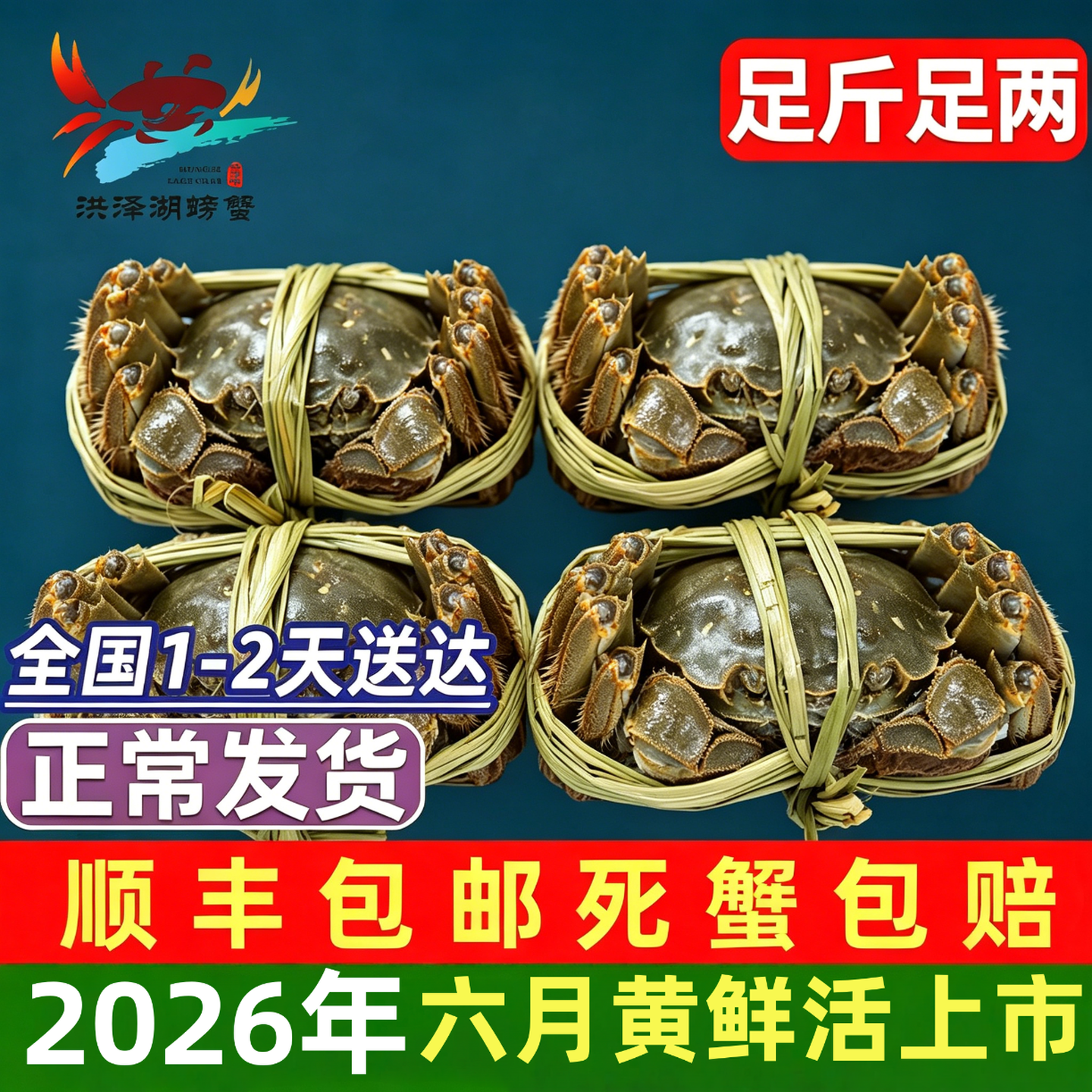 活蟹六月黄洪泽湖现货特大精品特大闸蟹鲜活螃蟹公母搭配礼盒装