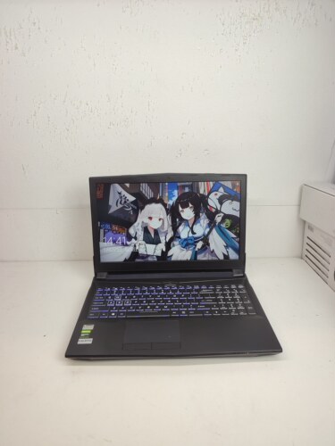 二手炫龙高性能游戏本 8代i5六核，GTX1060 6G独显15.5寸高清大屏