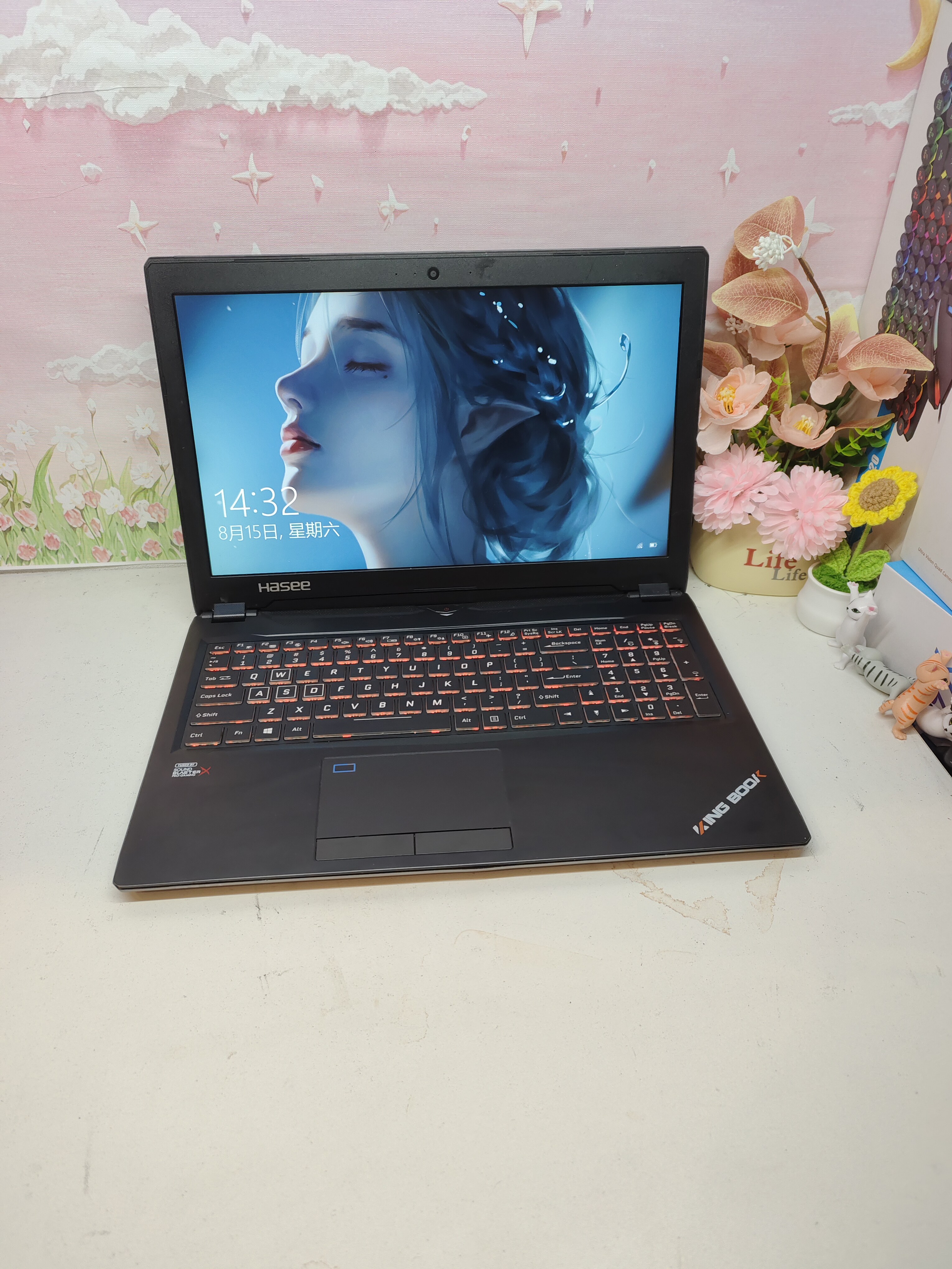 二手神舟P95_HP游戏本笔记本电脑 i7四核，6G大独显图片