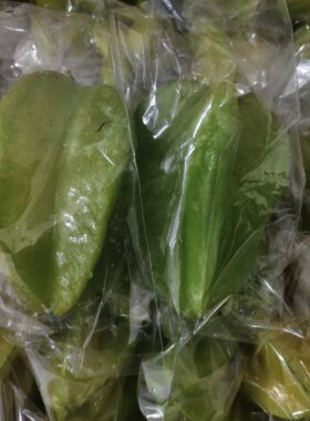 现货杨桃5斤包邮新鲜水果酸梅粉