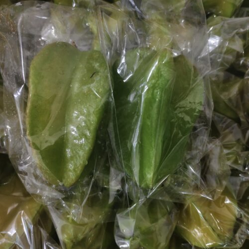 现货杨桃5斤包邮新鲜水果酸梅粉