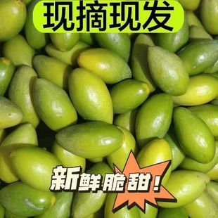 潮汕金灶老树二号甜种橄榄生吃煲汤泡酒现摘新鲜酥脆无渣回甘水果