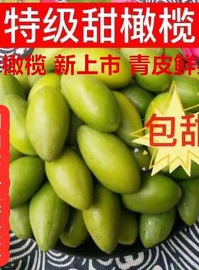 正宗金灶甜种冰糖酥脆无渣甘甜