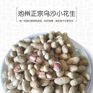 池州特产农家乌沙小花生原味