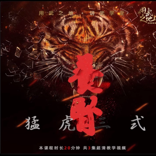 养肾猛虎三式【在线观看非实物】