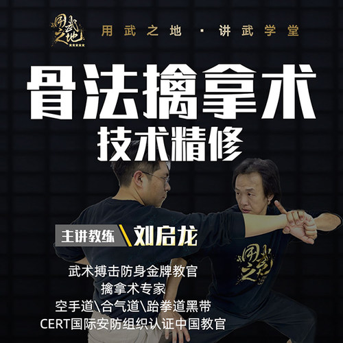 骨法擒拿技术精修课-刘启龙亲授【在线观看非实物】