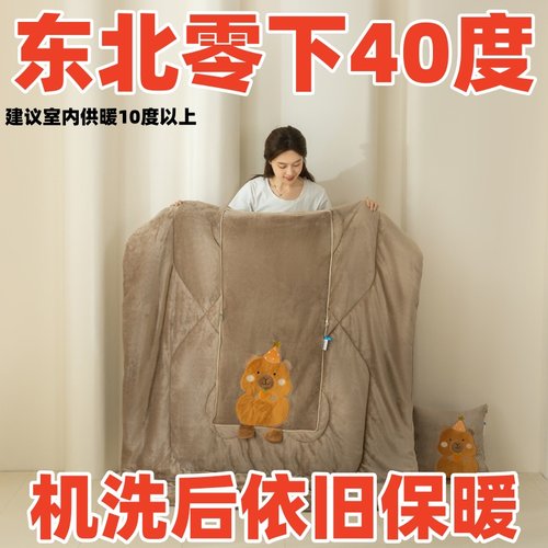 新款冬季卡通牛奶绒抱枕被