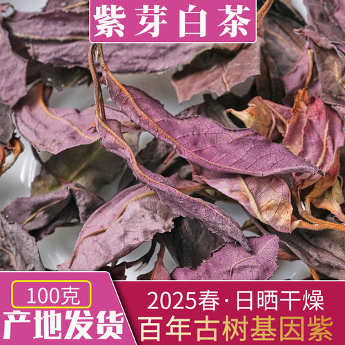 2025头春云南古树紫芽白茶花青素