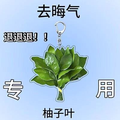 柚子叶去晦气钥匙扣包包挂件