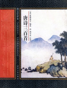 宋词三百首 双色图文注评本