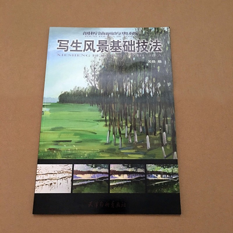 写生风景基础技法 剖析油画的奥秘 油画教程书 油画书入门教材 零基础