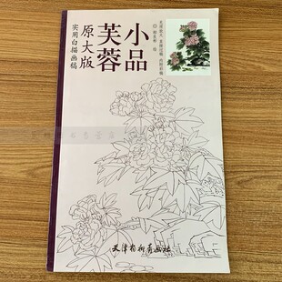 芙蓉小品 原大版 清货 库存品相 库存