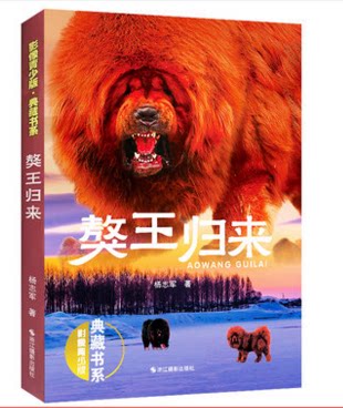 库存清仓 獒王归来(影像青少版·典藏书系)美绘本 杨志军著 动物小说全集 儿童文学6-15周岁阅读四五六年级小学生课外阅读书籍畅销