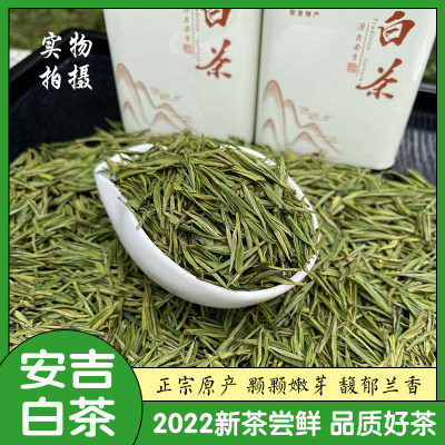 安吉白茶嫩芽正宗原产兰香型