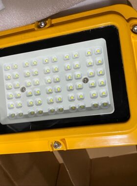 DGS36LED防爆灯 厂房车间 DGS36/127 隔爆型泛光照明矿用灯DGS36