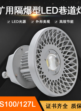 矿用隔爆型LED巷道灯DGS100/127V  煤矿用防爆led照明灯DGS100