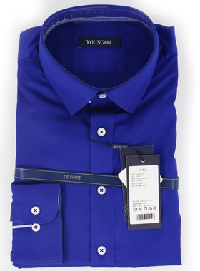 雅戈尔衬衣男士商务休闲正装长袖免烫衬衫修身款YLDP110020