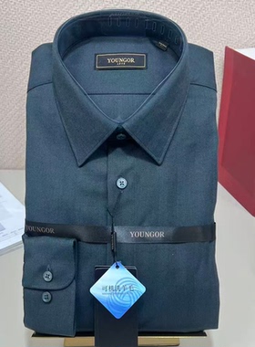 专柜1280雅戈尔 新款人字纹可机洗羊毛男士秋冬长袖衬衫119683QJA