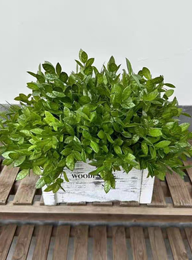 仿真瓜子叶榕树叶婚庆绿植造景配材餐桌塑料花盆栽插花假花摆件