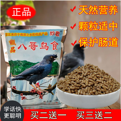 贵州妙歌八哥鸟食林黑八哥学话