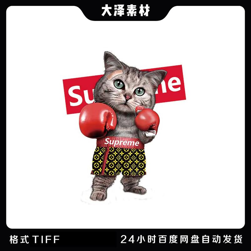 时尚潮牌拳击猫趣味卡通高清免抠图案素材t恤服装印花烫画贴纸