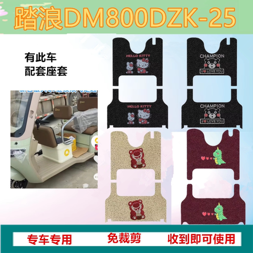 踏浪DM800DZK-25休闲三轮车