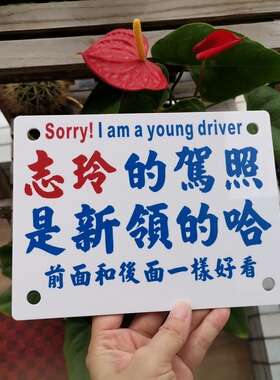 后窗外贴告示女司机新驾受不了惊吓志玲的驾照是新领的哈须体谅着