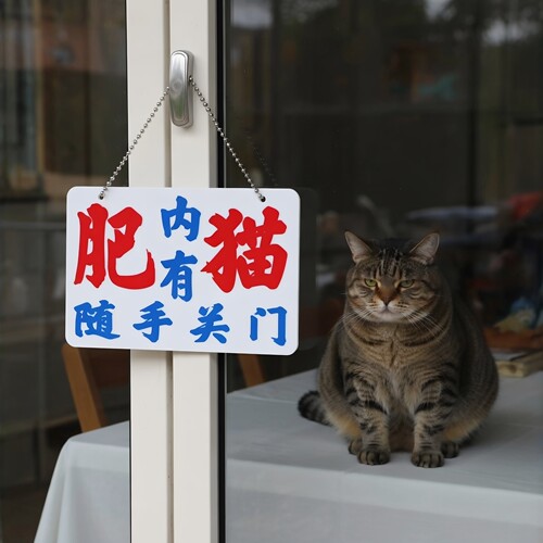 内有肥猫出没随手关门提示牌