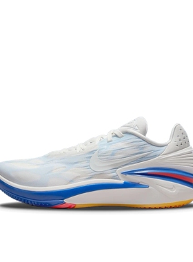 Nike Air Zoom  篮球鞋 DJ6015-102江西AS仓B2盖章发货倒卖勿扰