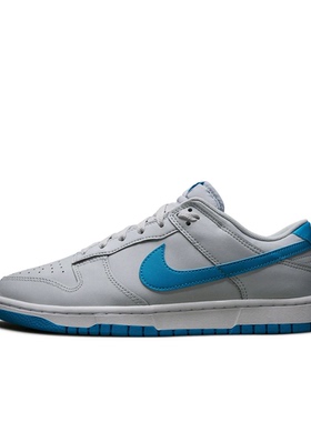 Nike Dunk 板鞋 经典复古百搭 灰色/蓝色 48 DV0831-001 四川TS仓