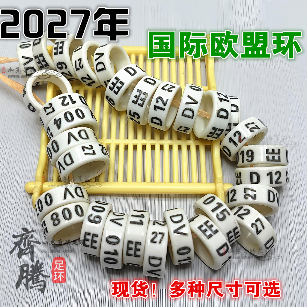 元宝圆环摩登象腿信鸽赛鸽
