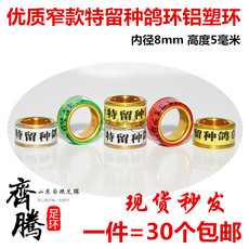 Другие 特留种鸽环鸽子足环定制信鸽脚环 鸽环鸽子用品俱乐部特比副环