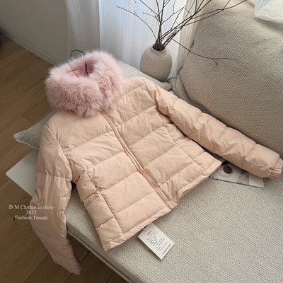 韩系软糯小众设计感羽绒服