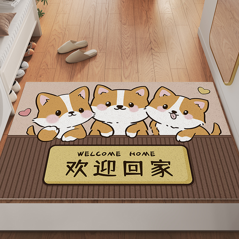 家用丝圈入户门地垫防滑脚垫