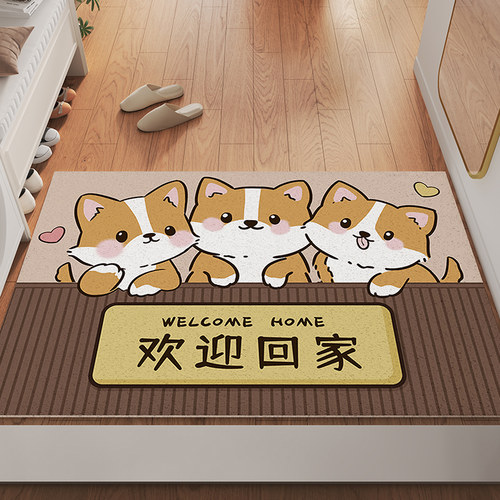 家用丝圈入户门地垫防滑脚垫