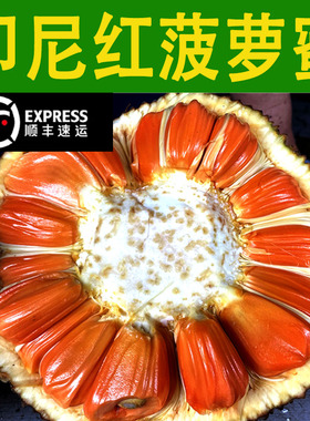 正宗印尼红红肉红心菠萝蜜山地老树果新鲜水果泰国菠萝蜜红宝石
