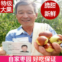 特级沾化冬枣新鲜5斤脆甜水果特大果山东特产枣子大枣一级现货