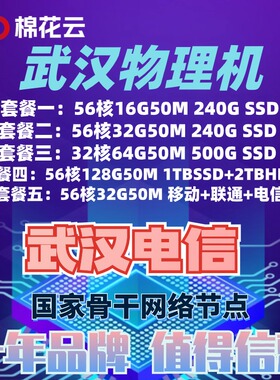 国内高防服务器租用湖北武汉电信移动联通BGP服务器网站游戏电商