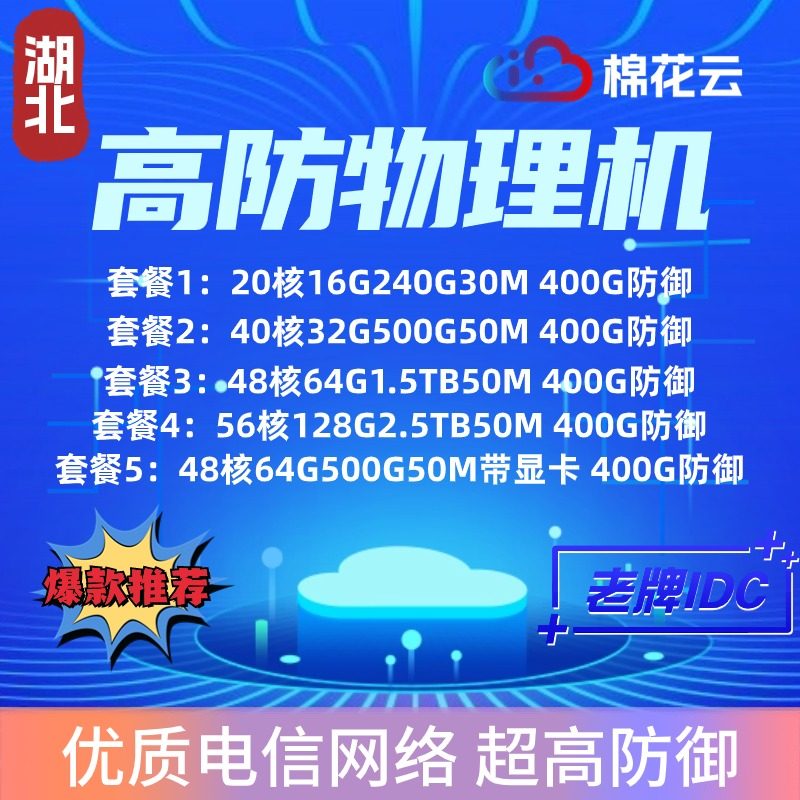 国内高防服务器租用湖北十堰电信移动联通BGP服务器网站游戏电商