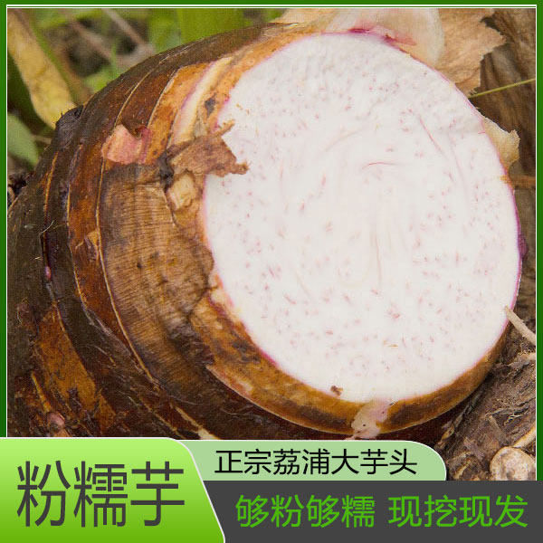 芋头荔浦特产软糯大香芋紫色槟榔芋现挖广西特大芋头块片新鲜包邮