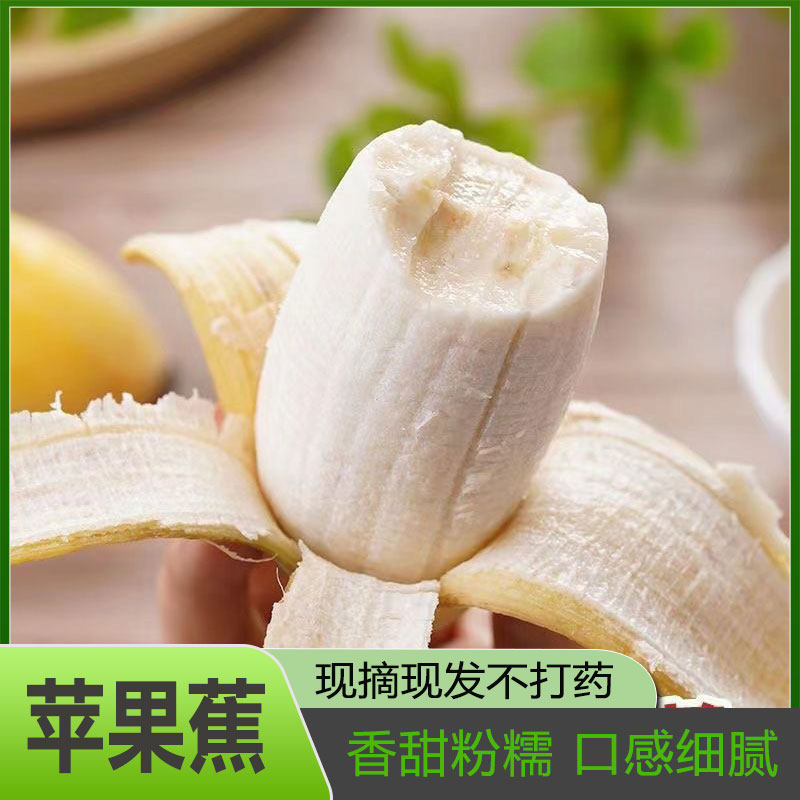 广西高山香蕉新鲜当季水果大芭蕉苹果蕉甜香蕉皇帝蕉整箱包邮
