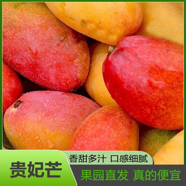 广西贵妃芒新鲜芒果香甜水果当季整箱热带红金龙玉青煌大台辣椒