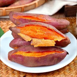 红蜜薯新鲜种西瓜红地瓜种子红心蜜薯叶苕高产沙地糖心番薯山芋苕