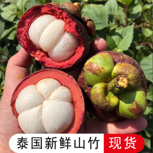 包郵 泰國山竹5A大果新鮮熱帶酸甜水果油麻竹整箱孕婦低糖郵政順豐