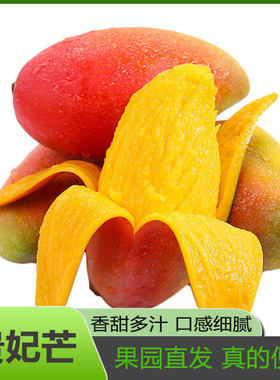 广西贵妃芒果新鲜香甜水果当季整箱红金玉青煌大台非辣椒芒树上熟